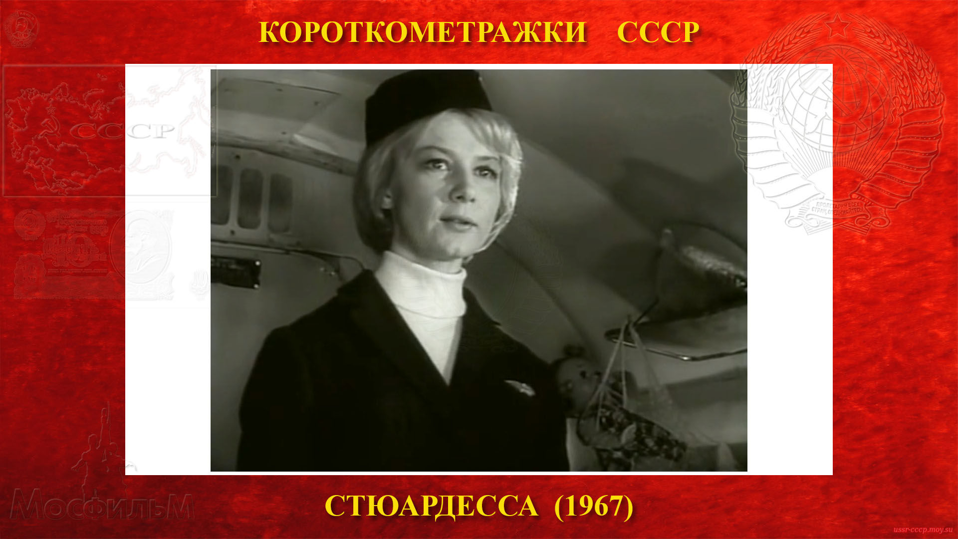 Стюардесса — Стюардесса Ольга Ивановна рассказывает пассажирам о рейсе