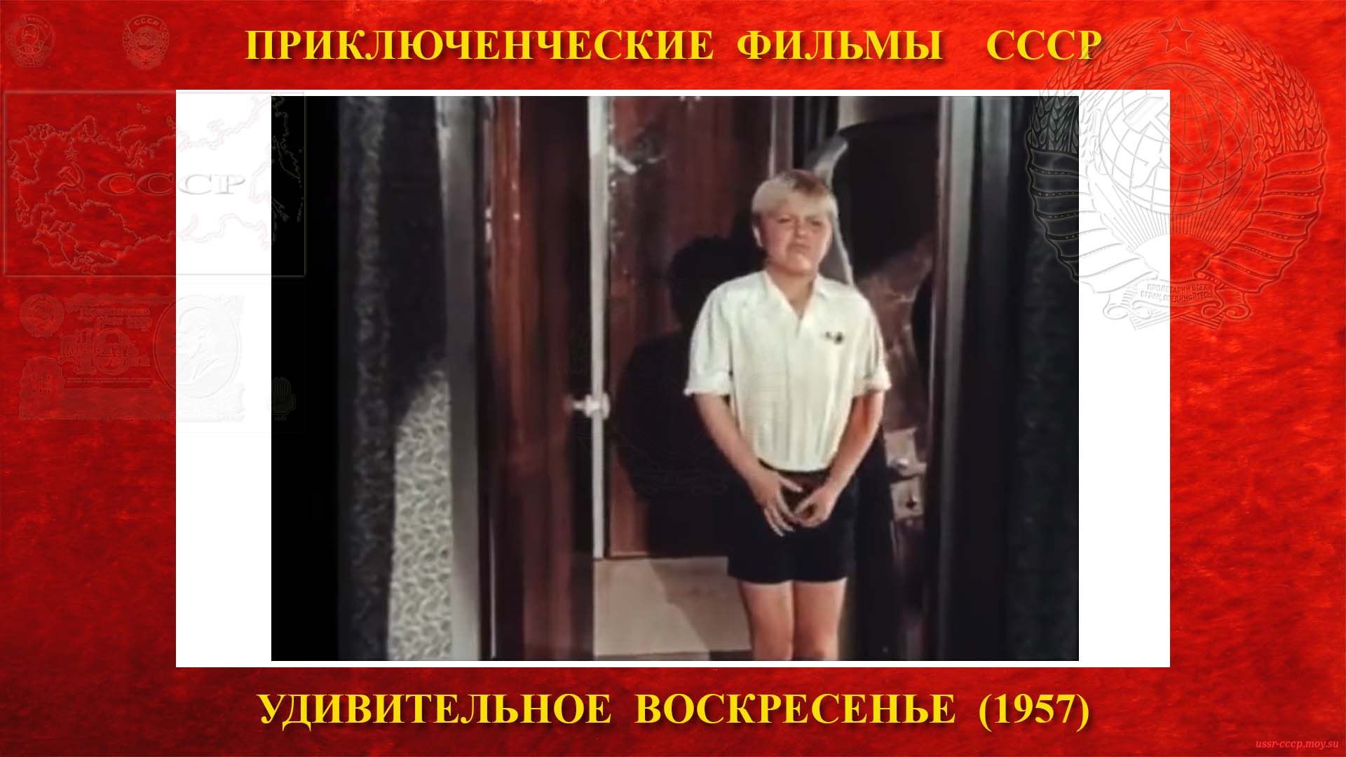 В этот момент Пепичеку понадобилось в туалет, а потом он не смог открыть дверь, и в это время началась посадка на самолёт Ту-104 СССР-Л5437.