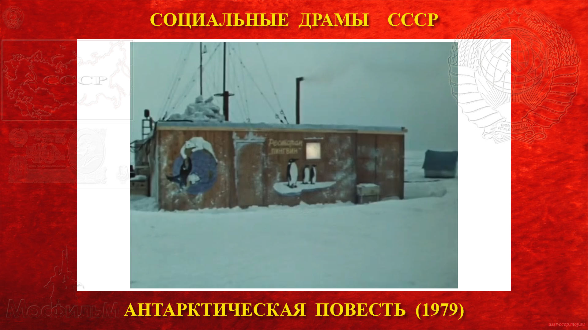 Антарктическая повесть — станции «Новолазаревская»